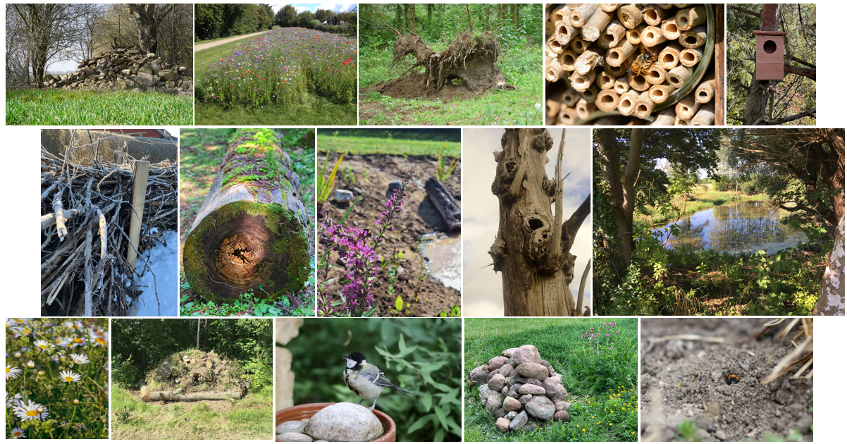 Biodiversitet inspiration