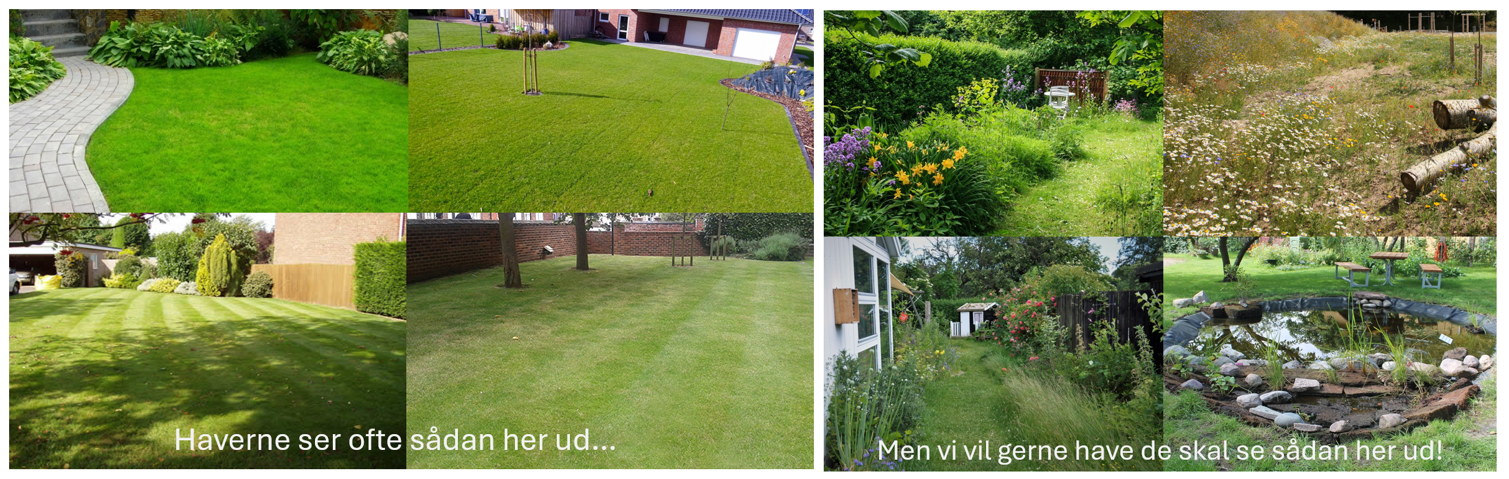 Den gode have - et eksempel med et kedelig grædørken, og et blomstereng i haven