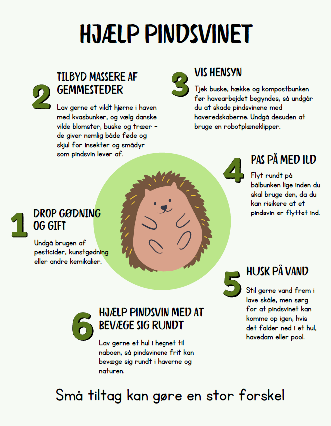Hjælp pindsvinet