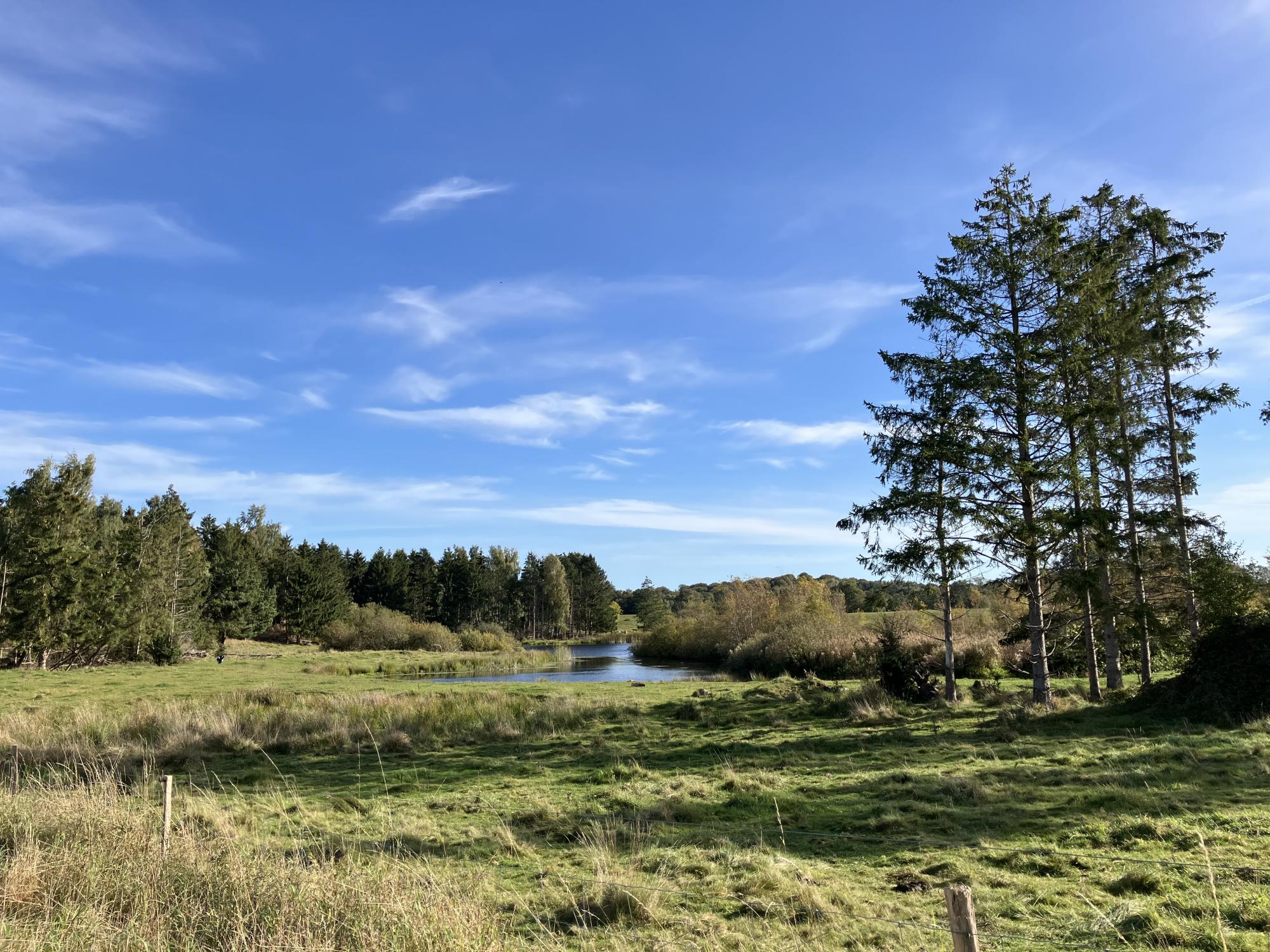 Udsigt over natur med træer, vand og eng