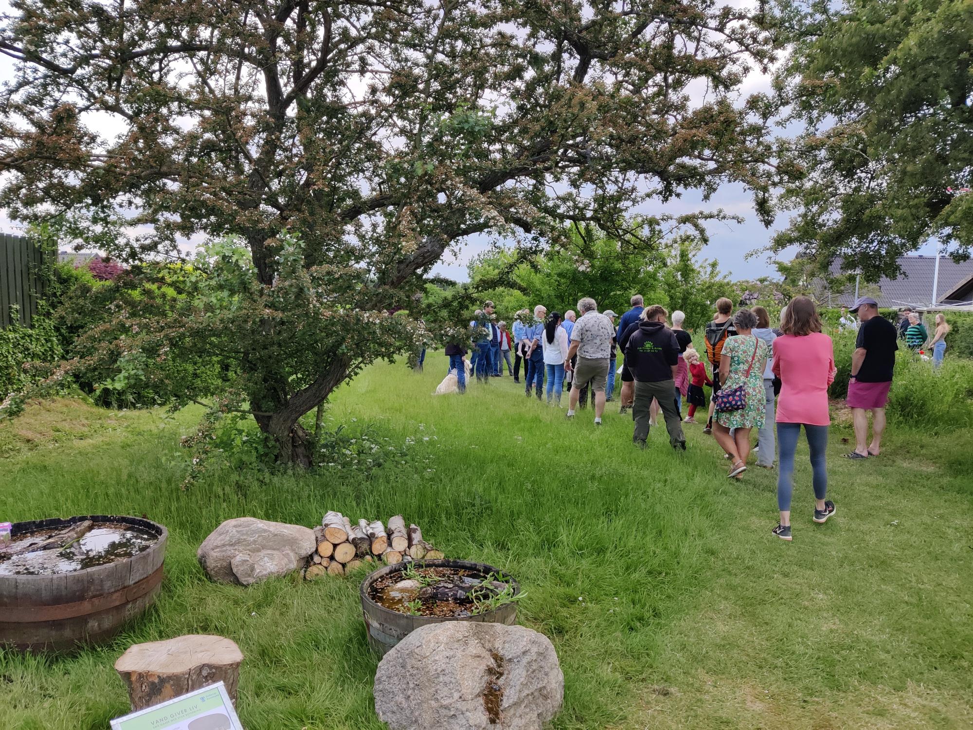 Borgervandring i Biodiversitetsparken. 