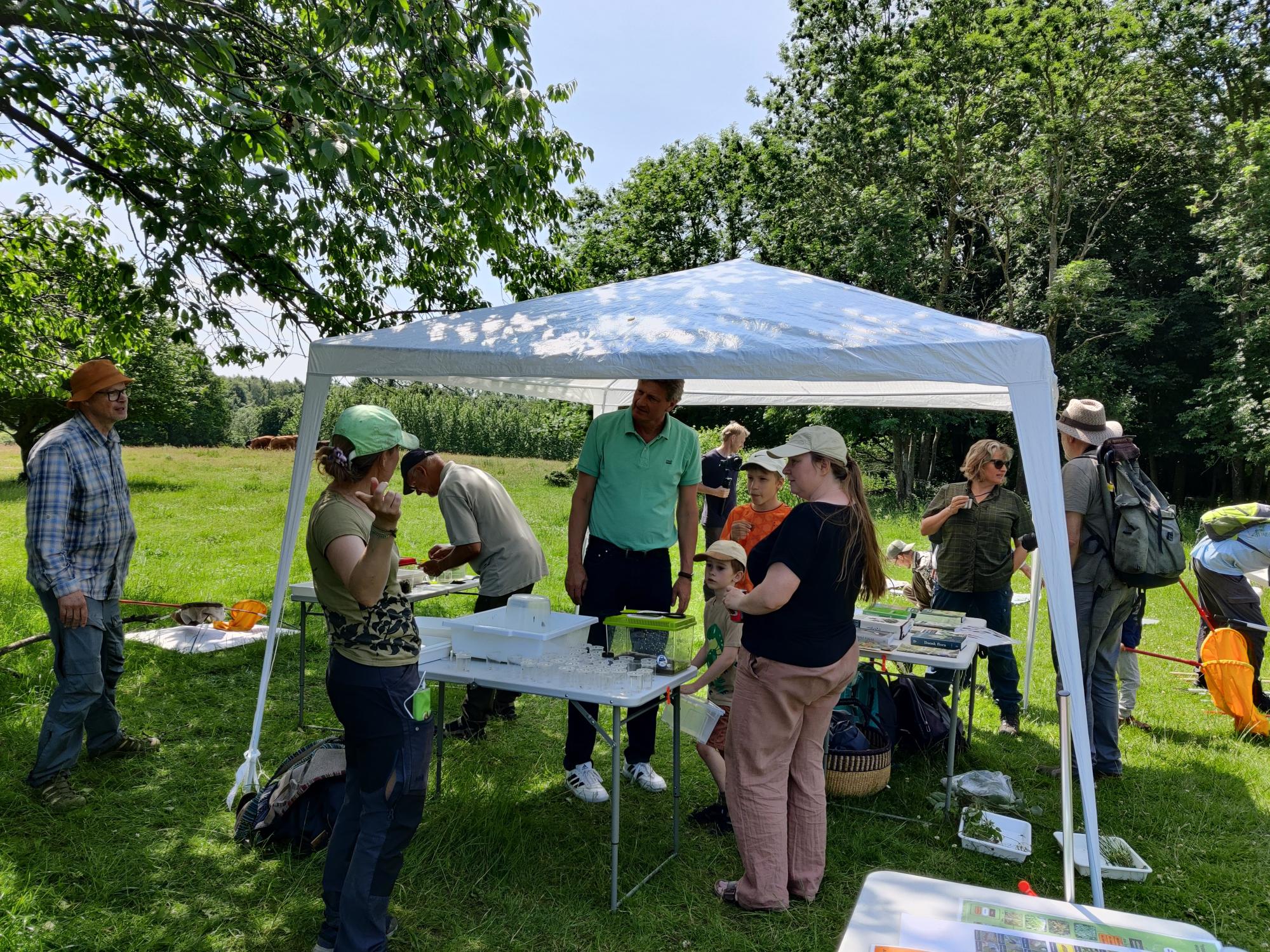 Bioblitz i Østerhøj Naturpark. 