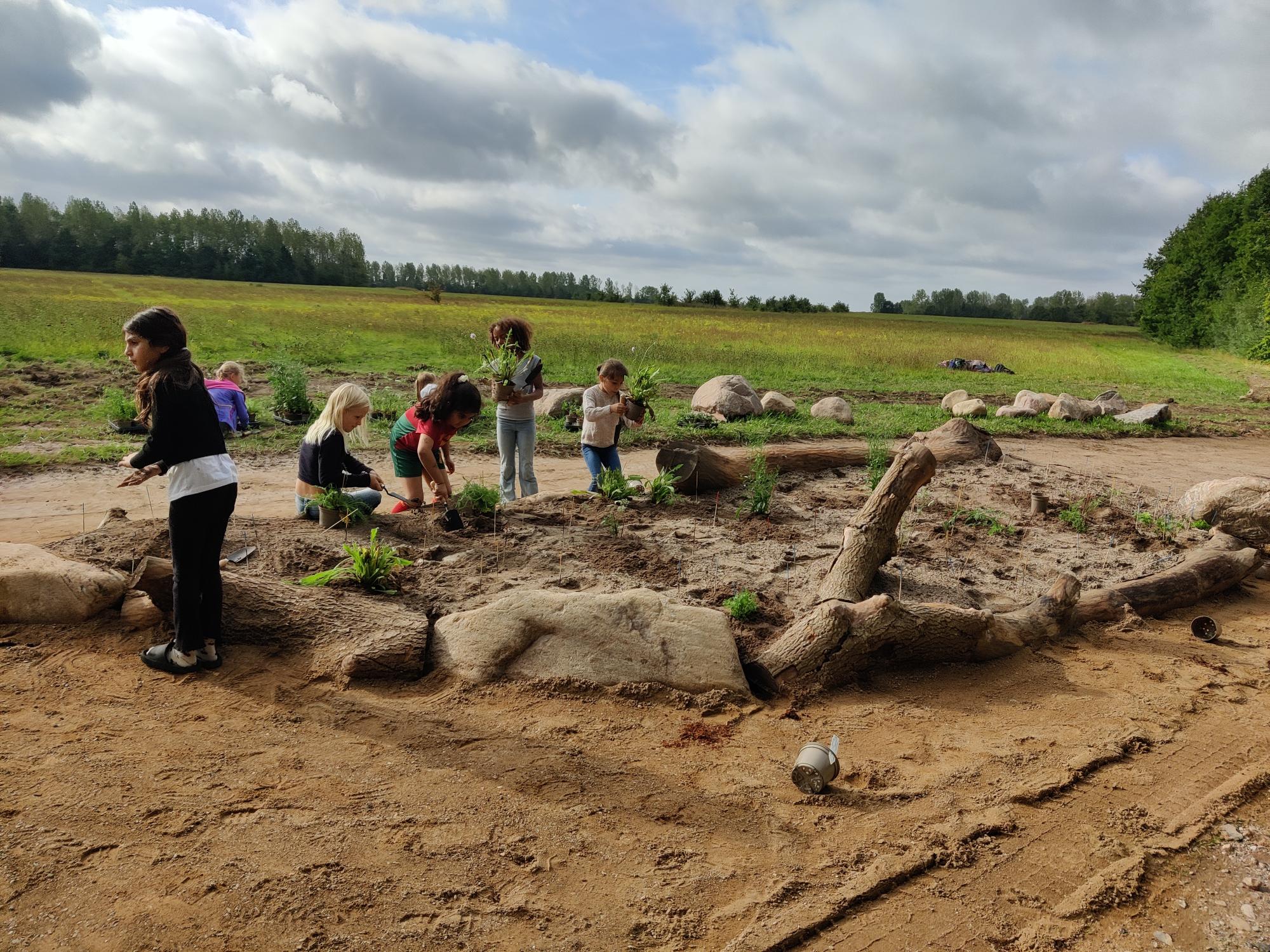 Elever planter for sommerfuglene