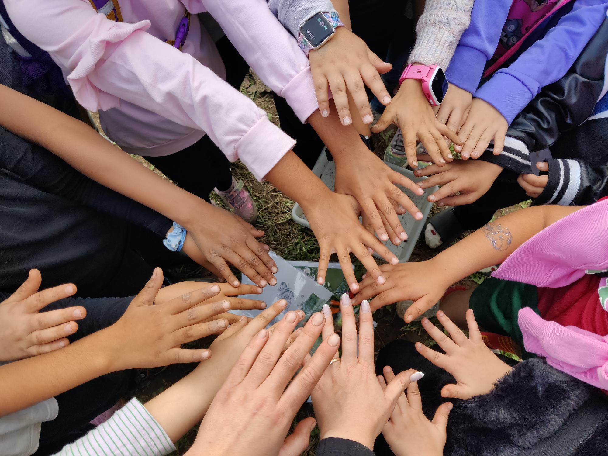 Seje elever planter for sommerfuglene