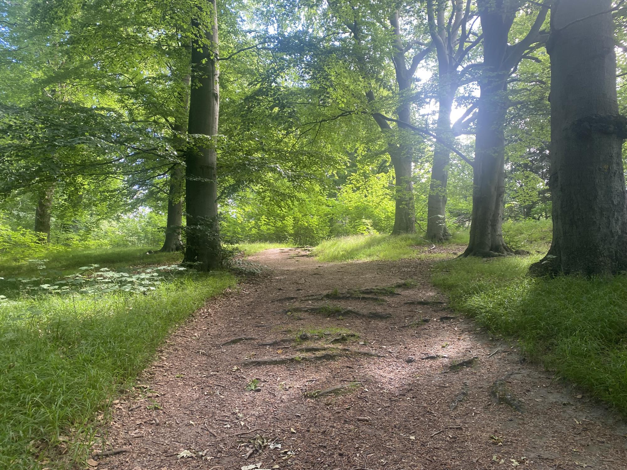 natur