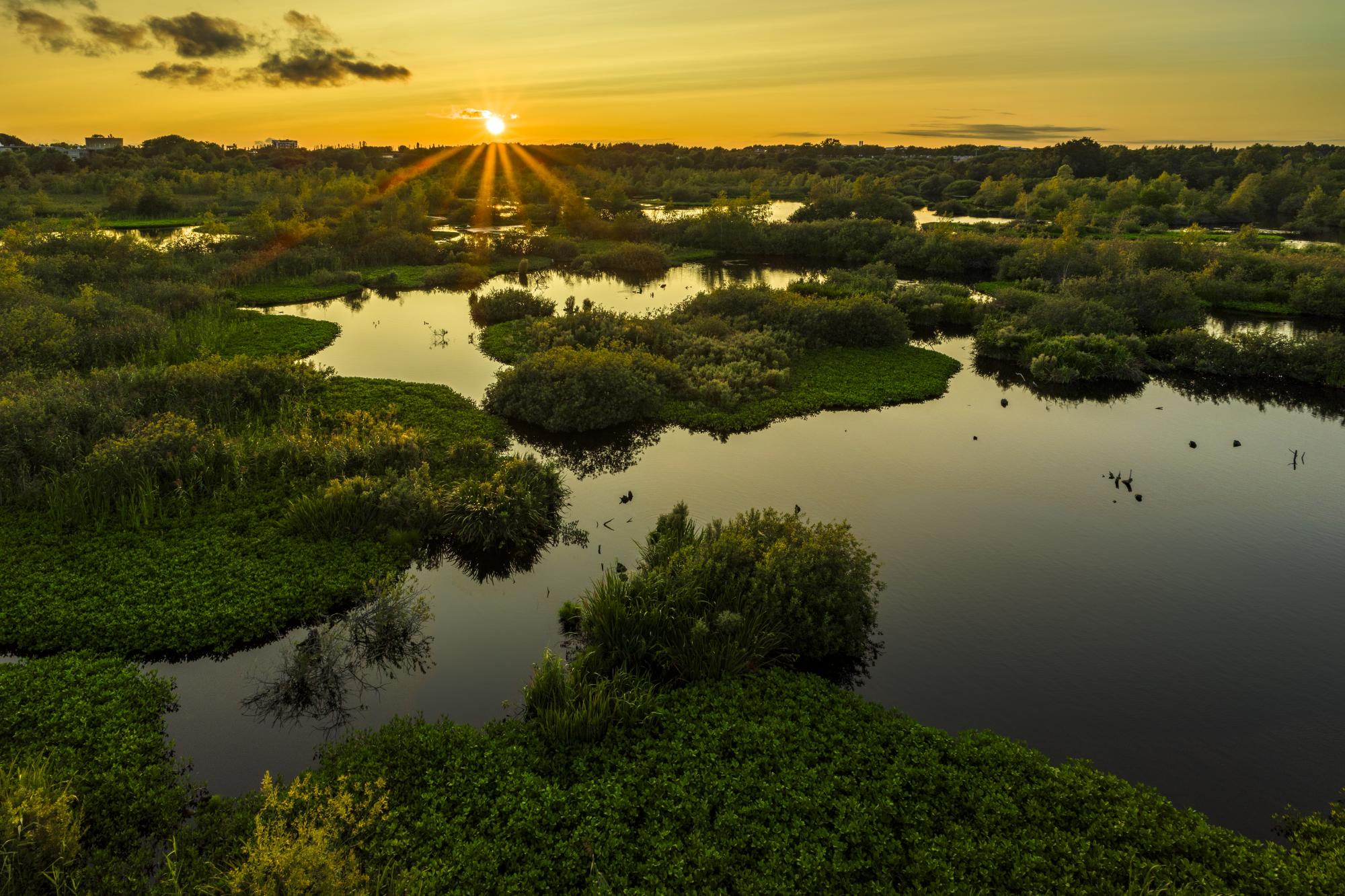 sømosen solnedgang