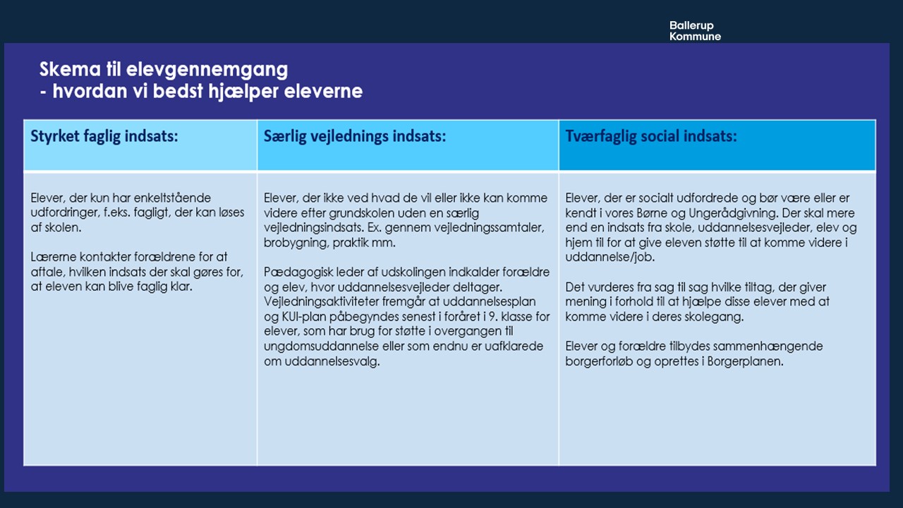 Skema til elevgennemgang