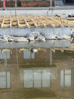 Hr. And på hjemmebane