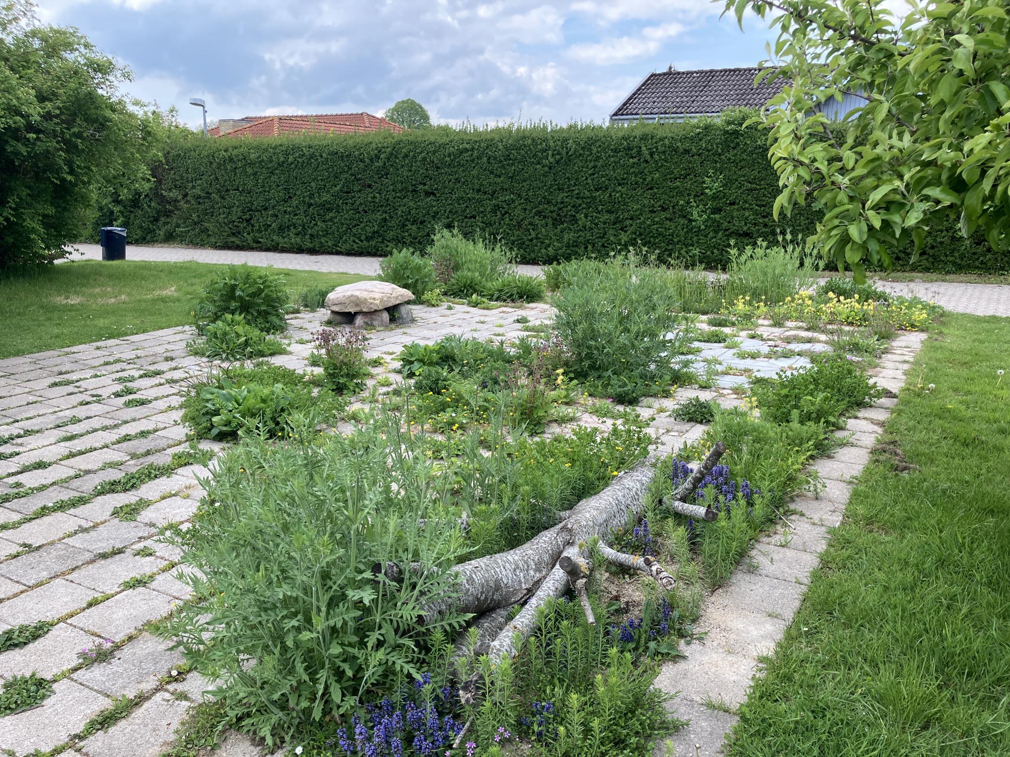 Biodiversitetsparken Ballerup Kommune Grus og Dødt ved
