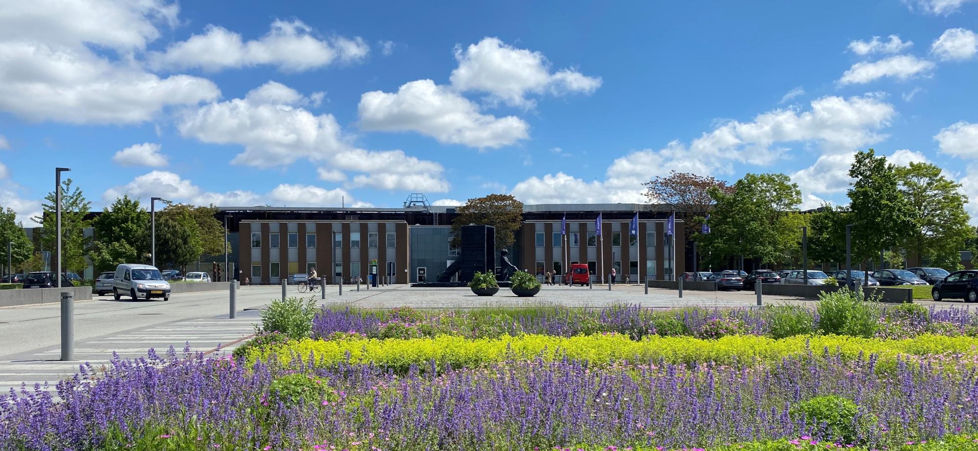 Rådhuset med lavendel