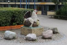 Hønemor