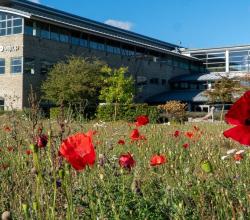 Biodiversitetsprojekt 