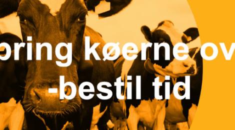 Bestil tid
