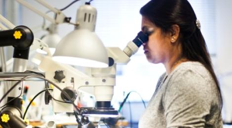 kvinde kigger i mikroskop