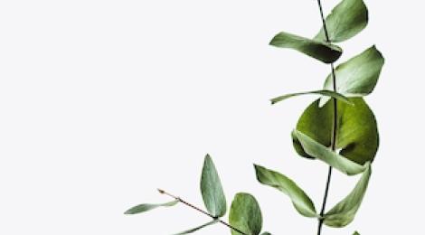 Diverse: Natur