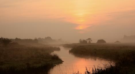 Diverse: Natur