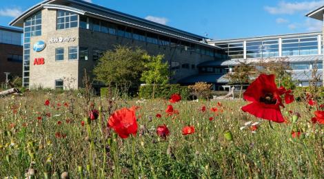 Biodiversitetsprojekt 