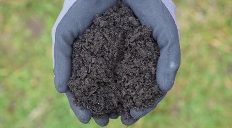 Kompost og hænder