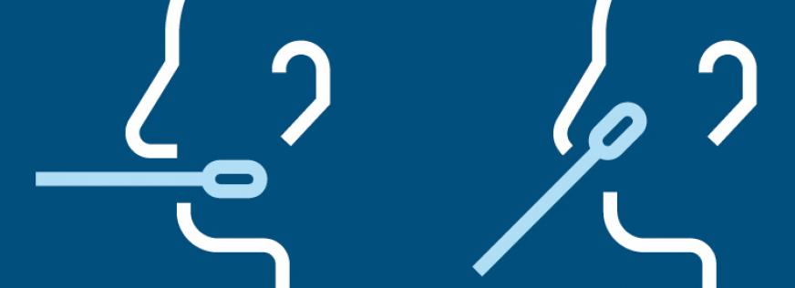 Illustration af podning