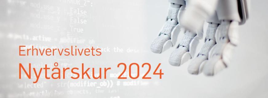 Erhvervslivets Nytårskur 2024