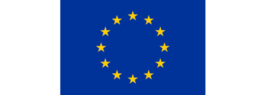 Det europæiske flag