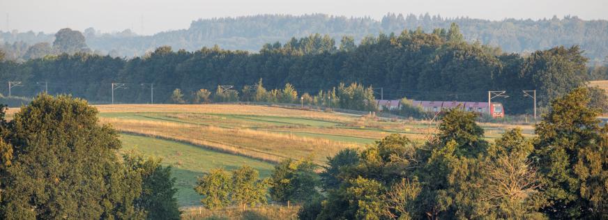 Træer, marker og et S-tog