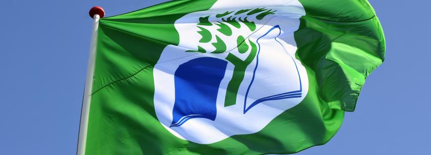 Grønt flag