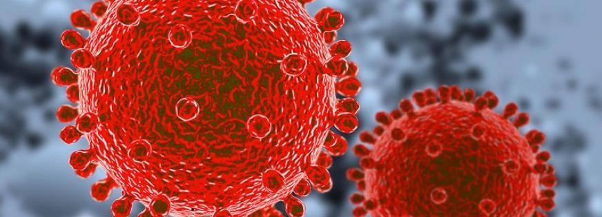 Coronasmitte på Baltorpskolen, afd. Rugvænget: Alle elever under 12 år skal have en negativ PCR-test inden fremmøde