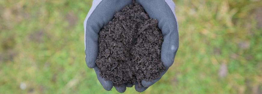Kompost og hænder