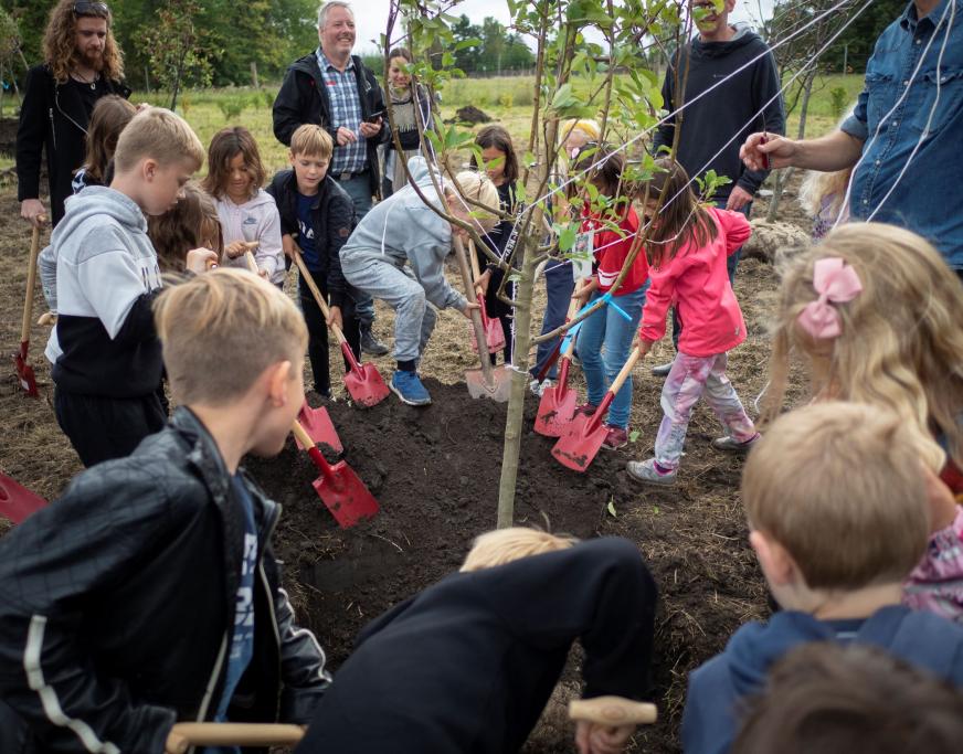 Ballerup planter træer