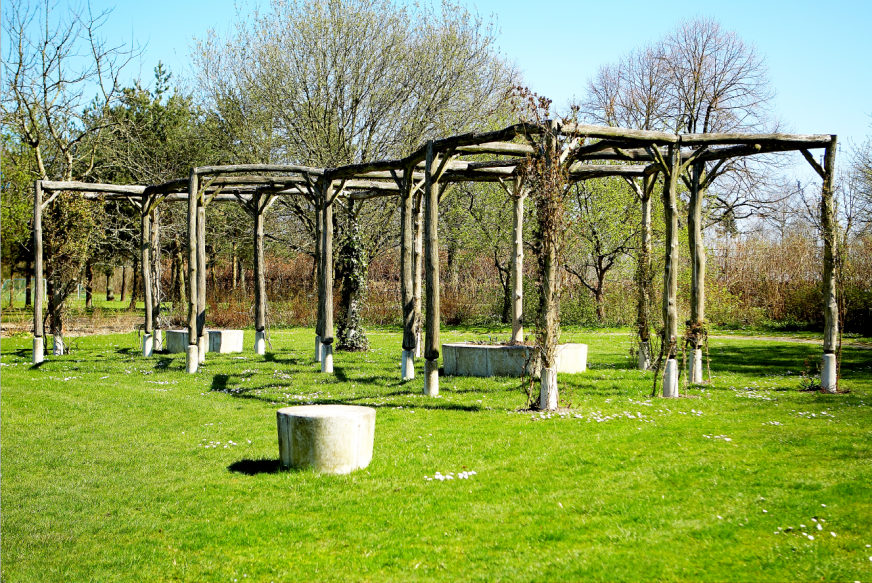 Pergolaen