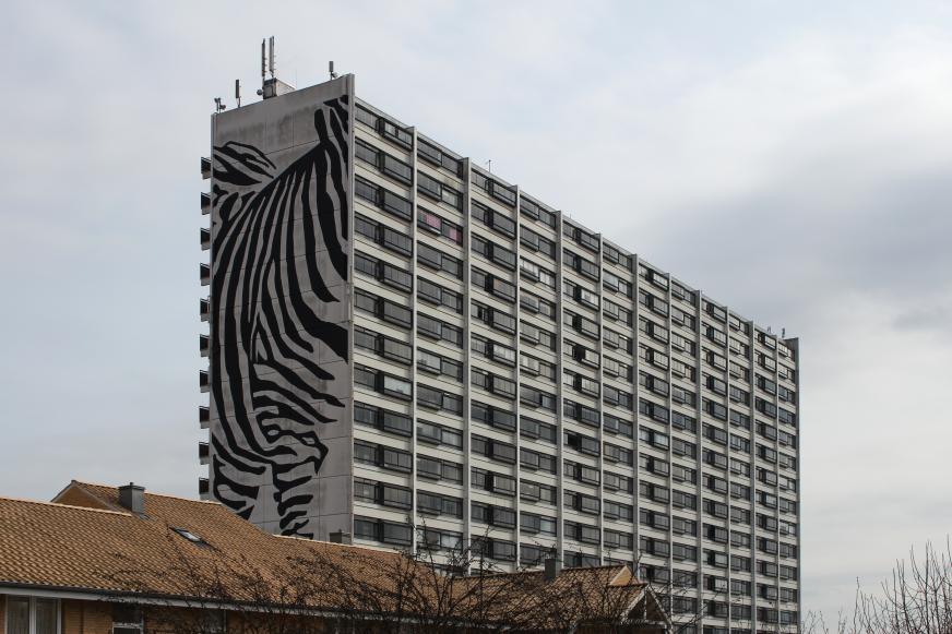 Zebrafraktion